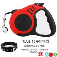 狗狗牵引绳自动伸缩狗链子项圈小中大型犬柯基金毛遛狗绳宠物用品 红色（3米） 单独牵引绳