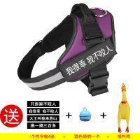 宠物狗狗牵引绳遛狗链子泰迪金毛哈士奇小型中大型犬背心式胸背带 紫(不含绳+三豪礼) XS(建议6-15斤)