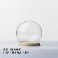 促销微型积木拼装益智玩具迷你成年桌面摆件太空宇航员模型玻璃罩 球形12+原木底座不发光