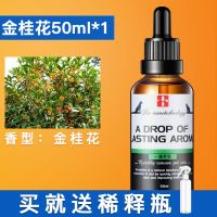 一滴香宠物除臭狗尿猫尿除味剂消毒液猫砂狗狗除臭剂室内去味香水 金桂花香味+送喷瓶 一瓶+喷瓶(实惠)