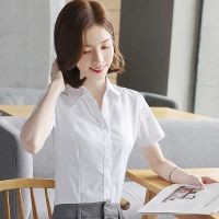 白衬衫女短袖2021新款新疆棉春夏职业工装上衣蓝粉大码工作服衬衣 短袖白色V领 S