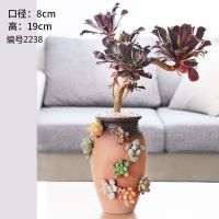 手工造陶瓷多肉植物清仓特价高大花盆紫砂粗陶透气盆栽陶罐 2238