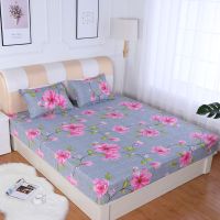 床笠单件防滑薄棕垫套席梦思床垫保护套磨毛防尘单双人床罩宿舍 节节花开 棕垫款 120*200