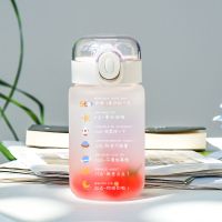 水杯吸管杯女学生简约清新森系便携可爱ins风韩版磨砂玻璃杯子 每日目标 350ml单杯