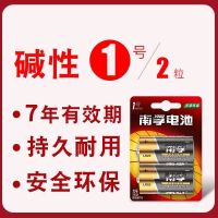 南F 1号电池燃气灶热水器电池LR20大号碱性D型电池煤气炉手电筒 一号2粒