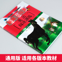 2021年正版 新黑马阅读 英语阅读训练书 三年级 3年级第五次修订版小学生同步拓展阅读专项训练 小学英语教辅书籍学校老