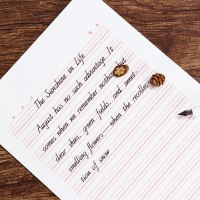 意大利斜体英语字帖中学生小学七年级上下册3-6三四五六年级人教版同步课课练7初一英文练字帖高分写作手写印刷体衡水体女生漂