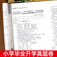 2021年新版 小升初必刷题人教版通用版68所名校小升初真题卷语文数学英语专项训练小学毕业系统总复习资料模拟卷六年级小升