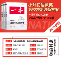 2021一本小升初语文数学英语名校冲刺必备方案人教版部编版 小升初必刷题语数英真题试卷专项训练 小学六年级知识大集结系统