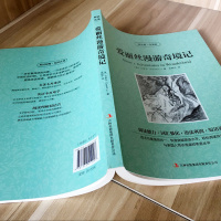 [老师推荐]读名著学英语 爱丽丝漫游奇境记正版书中学生课外阅读书籍必读经典书目中英对照青少年双语文学故事书梦游仙境