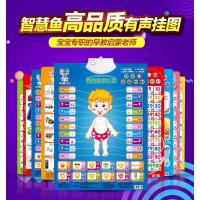 aoe儿童拼音读音点读机英语音标发音有声挂图幼儿园大班认识发声 [智慧鱼]
