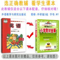 2021年薛金星小学教材全解4四年级英语上册外研版(三年级起点)四年级上册英语教材外研版教材解读小学英语辅导书教材同步学