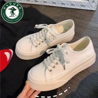 PLOVER啄木鸟可爱圆头帆布鞋女学生韩版2021新款百搭大头小白鞋潮 白色 35