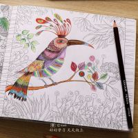 神秘花园时间旅程手绘涂色填色书儿童涂色书成人减压画册秘密花园 神秘花园随机2本[没有画笔]