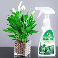 [回头客多]多功能清洁剂植物叶面光亮剂增亮除尘营养液增绿花卉 图片色