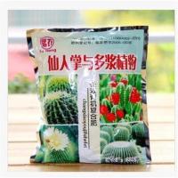 巴西龙骨盆栽 多肉仙人掌植物盆景大颗肉肉防辐射除甲醛花卉 龙骨专用 不含盆