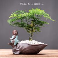 新品创意摆件迷你玻璃透明水培绿萝客厅茶几家居陶瓷桌面花瓶 哥窑花器[玉梅]-思语[送文竹]