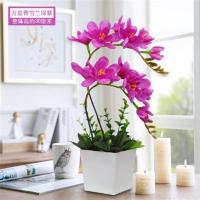 干花客厅仿真花套装花艺蝴蝶兰绢花假花盆栽餐桌茶几家居装饰摆件 草坪方盆苍兰深紫