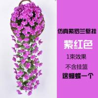 仿真紫罗兰花藤壁挂挂墙假花吊兰花塑料花装饰花室内客厅藤条吊花 紫红色(不带花篮)