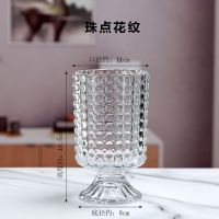 北欧风玻璃花瓶水培容器插花客厅水养创意桌面透明简约高档工艺品 珠点花纹收藏商品优先发货