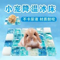 夏日降暑仓鼠龙猫松鼠豚鼠散热板冰袋冰盒冰床降温用品仓鼠用品 冰垫(XXS)适合仓鼠