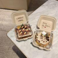 野餐必备一次性餐盒便当盒一次性蛋糕盒水果盒子一次性野餐饭盒 餐盒3个+送随机油纸