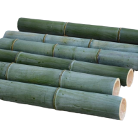 竹筒竹子原料新鲜竹条料竹筒饭蒸筒竹料竹料筒子 外直经6-8厘米长20厘米