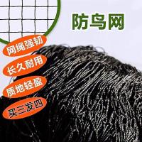 新品画眉鸟线网麻雀防l鸟罩树网果园园防护网白色尼龙网 6米长3米高[孔1.5]