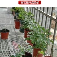 塑料网防盗窗垫板阳台防掉东西儿童防护防猫封窗户育雏鸡鸭脚垫网 50公分宽 0.8孔 每米