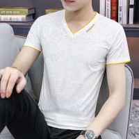 夏季新款2021冰丝男士短袖t恤V领短袖男潮流半袖体恤上衣潮牌男装 210081白色 M 100-115斤