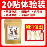 艾灸三伏贴冬病夏治祛湿驱寒咳嗽成人儿童敷贴三伏灸贴批发穴位贴 [实惠款]20贴+送穴位图+不够用 综合健康调理