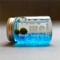 marimo海藻球能量瓶水藻球生态瓶水培植物玻璃瓶创意迷你植物球藻 铝盖 蓝色能量瓶