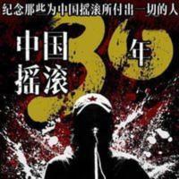 中国摇滚精选车载黑胶cd唱片流行音乐许巍汪峰崔健光盘cd130首 中国摇滚精选车载黑胶cd光盘流行音乐