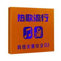 汽车载cd碟片dj光盘 重低音中文dj2021车载dj光盘碟片黑胶唱片 图片色