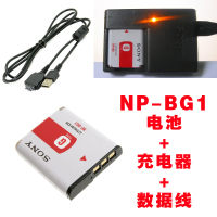 索尼DSC-T20 T100 W100 W300 H3 H7 H9 H10相机NP-BG1电池+充电器 单买充电器