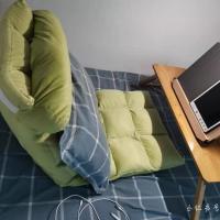 懒人沙发榻榻米床上懒人椅飘窗地垫躺椅单人沙发宿舍床上折叠沙发 [大号18格]绒布-抹茶色 送腰枕