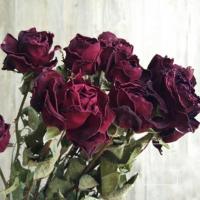 云南小玫瑰干花花束蔷薇拍摄道具天然家居装饰DIY摆设真花插花 红色小玫瑰+情人草 5朵花头(不含花篮)