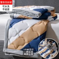 南极人可水洗空调被夏凉被夏季双人薄被子单人学生儿童夏被午睡被 青春-活动 80x100cm-午休被