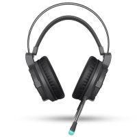 达尔优(dareu) EH716 头戴式耳机带麦 电脑电竞耳机 网课学习耳机 EH716 黑色 USB接口