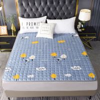 四季通用防滑可机洗薄床垫保护垫加厚榻榻米床褥子单双人学生宿舍 透气升级款[白云朵朵] 90*200cm单人床