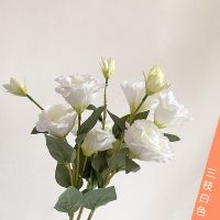 洋桔梗仿真花假花拍照道具野餐装饰客厅餐桌摆件婚纱摄影手捧花束 3枝白色