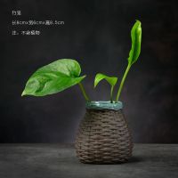 绿萝水培植物花瓶玻璃养花插花容器花盆陶瓷器皿客厅装饰桌面摆件 .竹笼