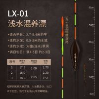 川泽鱼漂高灵敏螺旋尾鲫鱼鱼漂套装全套加粗尾醒目防风防走水野钓 LX-01(浅水混养)5目螺旋尾 1号