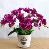 仿真蝴蝶兰套装盆栽家居客厅装饰花电视柜餐厅塑料花摆件假花 7叉紫色苍兰