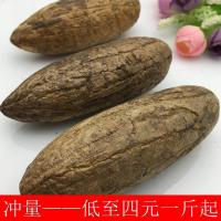 千眼菩提原籽菩提子原果白玉菩提果原果象牙白果黑皮风化老果星月 8-9cm歪果半斤 4-5颗