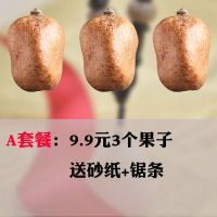 释迦菩提果彩色佛心果空心菩提佛灯果老果金灯菩提吊坠手串原籽 A套餐3果子+砂纸+锯条