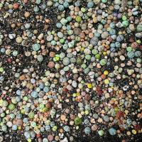 生石花多肉植物盆栽大颗花卉自家精养套餐整盆带土屁股花PP肉肉 0.9-1.4厘米(小巧精致萌物 ) 16颗不带盆土