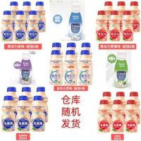 原味胃动力乳酸菌340ml*12瓶6瓶益生元风味奶饮品整箱批发 6瓶尝鲜