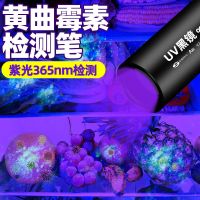 黄曲霉菌霉素检测笔专用紫外线检测笔365nm紫光灯荧光剂手电筒aic 黄曲霉菌霉素检测笔 厨房蔬菜食物专用