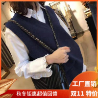 绒媛JR10,毛衣马甲女背心搭配衬衫外穿潮 2021秋冬新款v领宽松无袖外搭针织